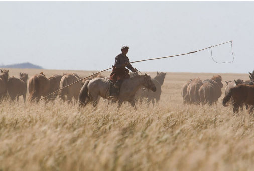 Mongolia konno